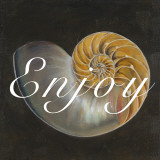 Enjoy Seashell Art by Patricia Quintero-Pinto