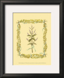 Peppermint Prints by Wendy Russell