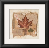 Maple Posters by Pamela Gladding