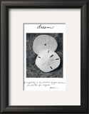 Dream Prints by Deborah Van Swearingen