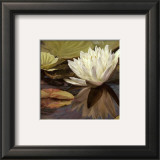 Lotus Jewel II Prints by Jan Sacca