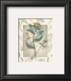 Yarrow Posters by Julie Nightingale