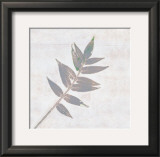 Leaf Synthesis I Art by Emily Pearce