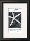 Explore Art by Deborah Van Swearingen