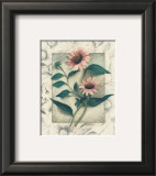 Echinacea Prints by Julie Nightingale
