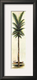 Palm III Prints by Alison Jerry