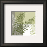 Abstract Fern Posters by Hanna Vedder
