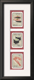 Sushi Triptych II Prints by Nancy Overton