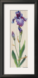 Iris Panel I Posters by Ruth Baderian