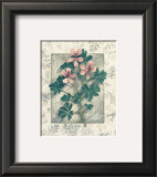 Pelargonium Prints by Julie Nightingale