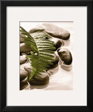 Spring Retreat I Prints by Christine Elizabeth