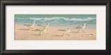 Beach Bunch Posters by Lin Seslar