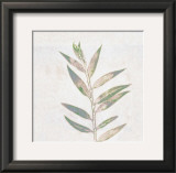 Leaf Synthesis II Prints by Emily Pearce