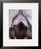 Black Iris, 1906 Prints by Georgia O'Keeffe