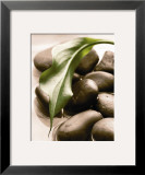 Spring Retreat II Print by Christine Elizabeth