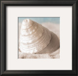 Treasures of the Sea IV Prints by Christine E.