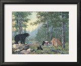 Bears' Campsite Prints by Anita Phillips