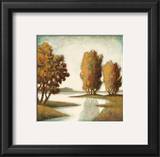 Shadow River Prints by Xavier 
