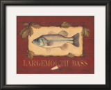 Bass Prints by Stephanie Marrott