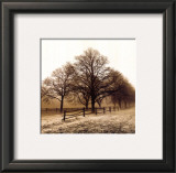 Row of Trees Prints by Harold Silverman