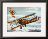 French Spad, 1916 Posters by Alfred Owles