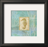 Seahorse II Posters by John Zaccheo