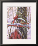 Red Sled with Cardinals Posters by Donna Race