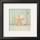 Sea Still I Prints by Tammy Repp