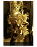 The White Flower of a Blamless Life Posters by Graham Rhodes