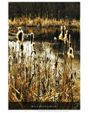 Down in the Reeds by the River Poster par Graham Rhodes