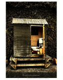The Toliet Is the Seat of the Soul Prints by Graham Rhodes