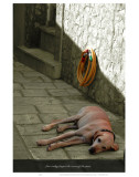 Live Today Forget the Cares of the Past Affiches par Graham Rhodes