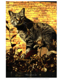 Where Cats Are Cats Posters par Graham Rhodes