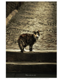 Where Cats Are Cats Posters par Graham Rhodes