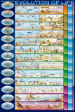 Evolution of Life Plakat