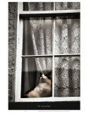 Do Cats Eat Bats Lámina por Graham Rhodes