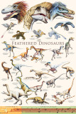 Feathered Dinosaurs II Photographie