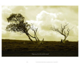 Imprisioned in the Viewless Winds Prints by Graham Rhodes