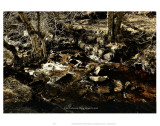 Cool Stream They Fingers Wet Posters par Graham Rhodes
