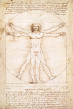 Human Proportions - Vitruvius Man Prints by Leonardo Da Vinci