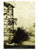 Whatever Is Beautiful Is Beautiful by Necessity Affiche par Graham Rhodes