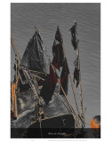 Hoist the Black Flag Láminas por Graham Rhodes Hoist the Black Flag Láminas por Graham Rhodes