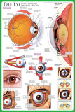 The Eye Poster