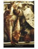 Stranded Fish Gaped Prints by Graham Rhodes