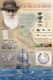 The Genius of Charles Darwin - Poster