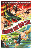Under the Red Sea Masterdruck