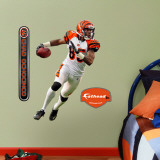 Chad Ochocinco Fathead Junior Wall Decal