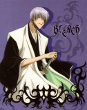 Bleach - Japanese Style Masterdruck