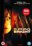 Burning Bright - UK Style Masterprint