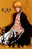 Bleach - Japanese Style Masterprint